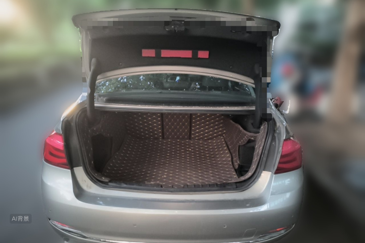 BMW 3 Series 2016 car image #21