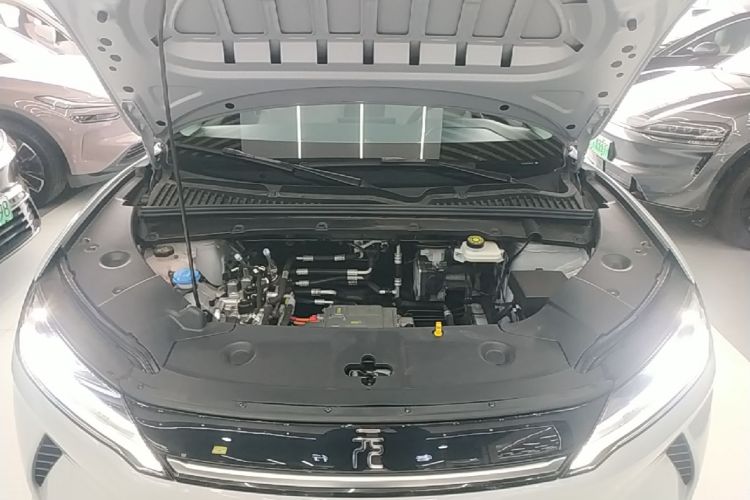 BYD YuanUP 2026 #20 BYD YuanUP 2026 immagine di auto #20
