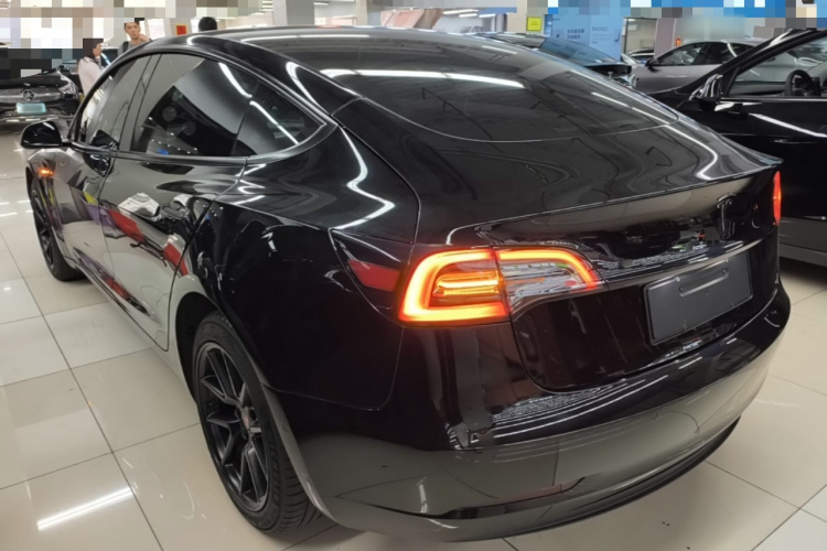 Tesla Model 3 2023 car image #5