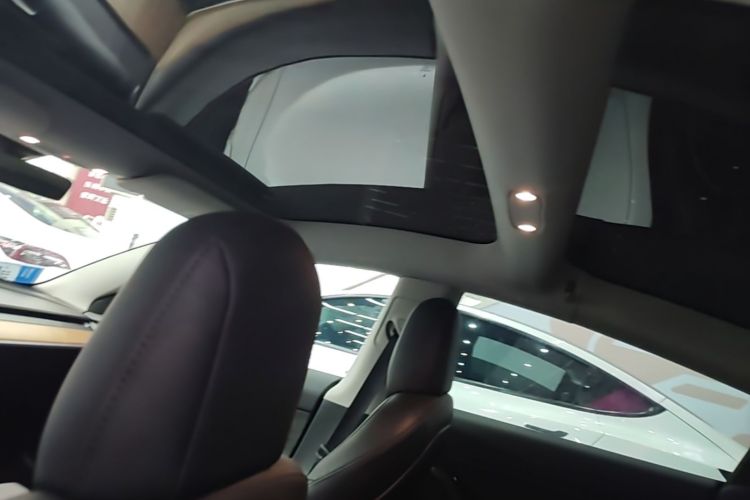 Tesla Model 3 2023 #20 Tesla Model 3 2023 car image #20