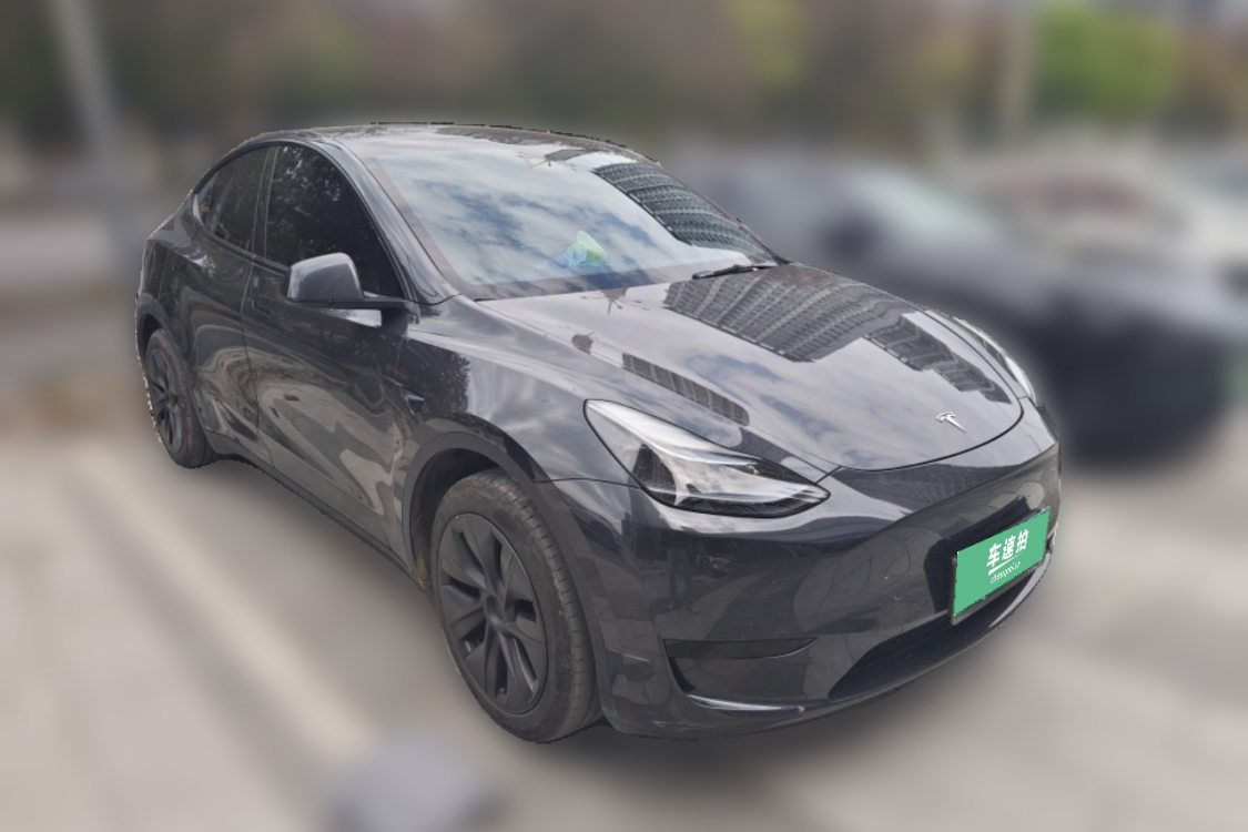 Tesla Model Y 2024 car image #2