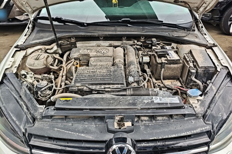 Volkswagen Golf 2019 #20 Volkswagen Golf 2019 car image #20