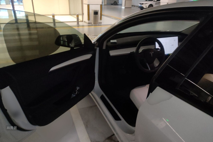 Tesla Model 3 2023 car image #18