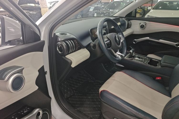 BYD Yuan Plus 2023 car image #16