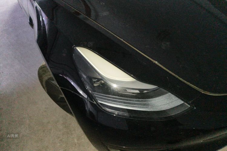 Tesla Model 3 2022 #8 Tesla Model 3 2022 car image #8