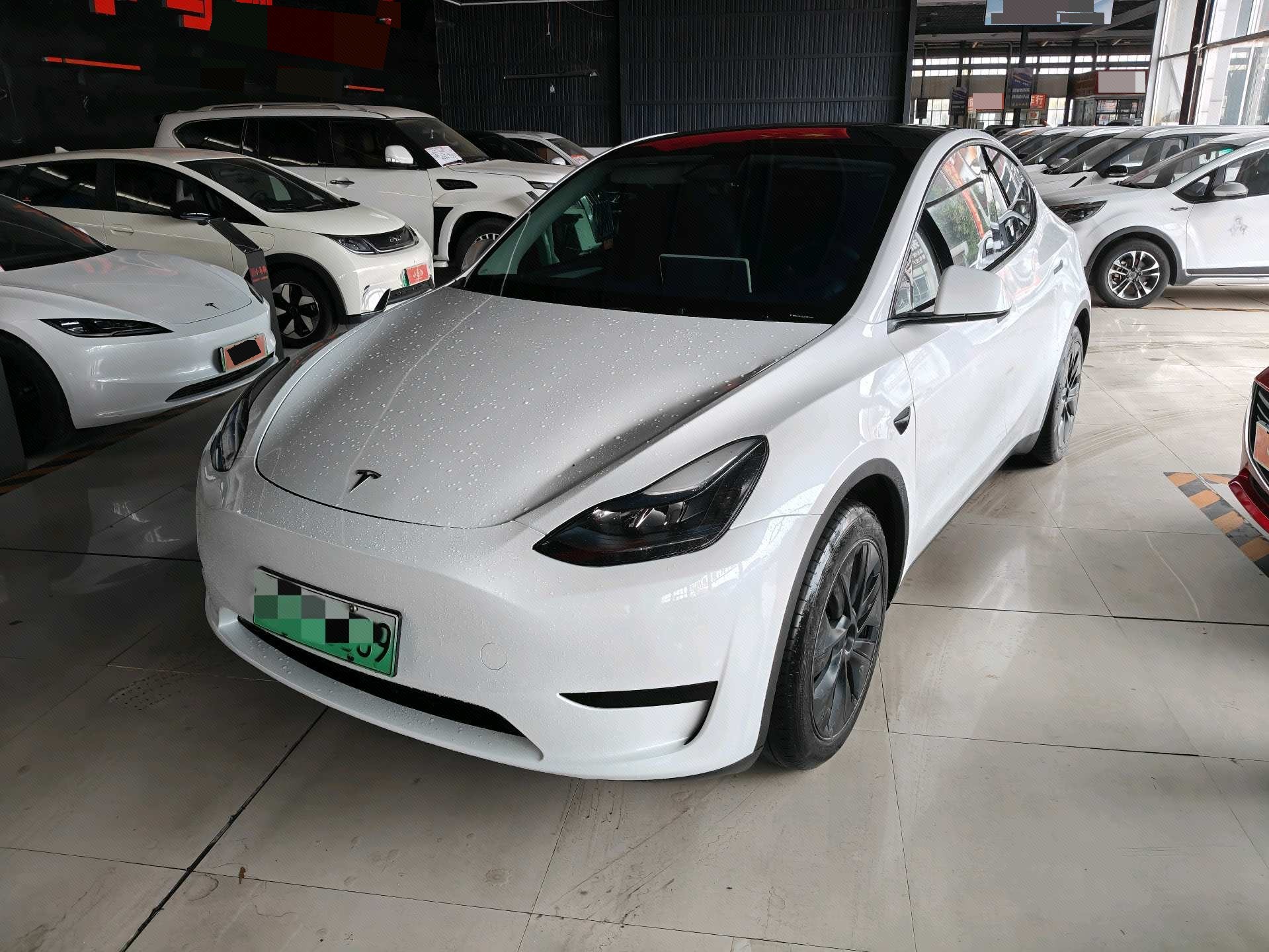 Tesla Model Y 2024 car image 