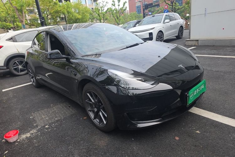 Tesla Model 3 2021 #4 Tesla Model 3 2021 car image #4