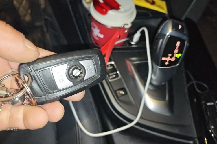 BMW 3 Series GT 2018 car image #10