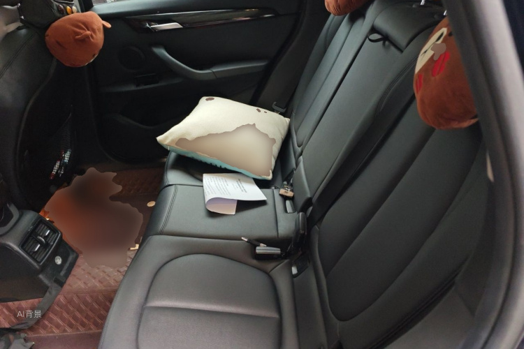 BMW X1 2017 #19 BMW X1 2017 car image #19