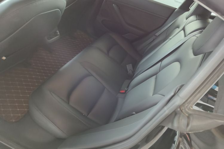 Tesla Model 3 2021 car image #17