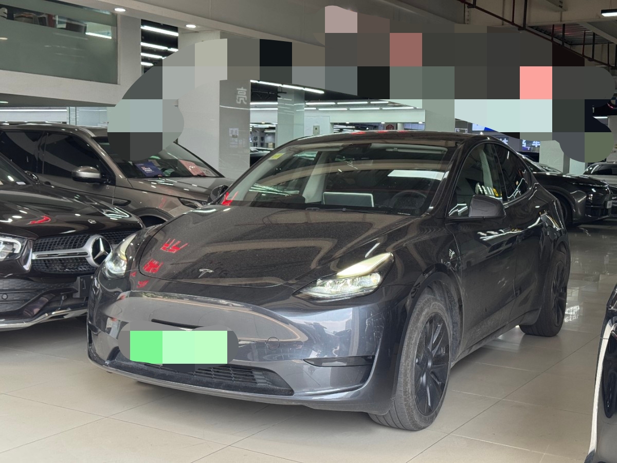 Tesla Model Y 2024 Tesla Model Y 2024 car image