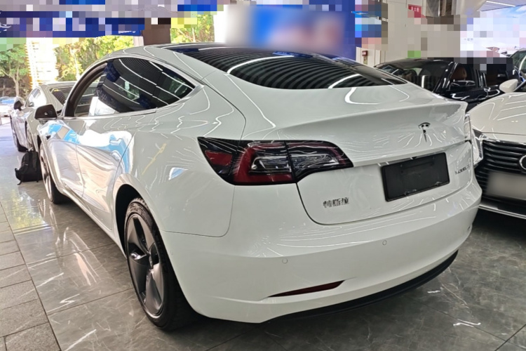 Tesla Model 3 2020 car image #5