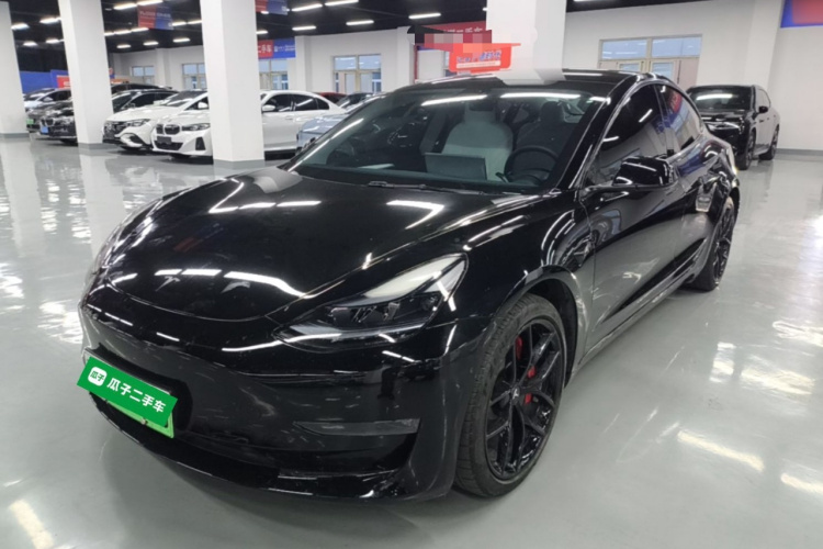 Tesla Model 3 2021 #2 Tesla Model 3 2021 car image #2