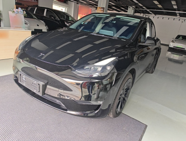 Tesla Model Y 2021 Tesla Model Y 2021 car image