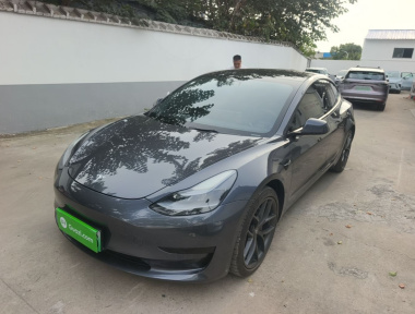 Tesla Model 3 2021 Tesla Model 3 2021 immagine di auto