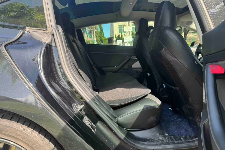Tesla Model 3 2020 #13 Tesla Model 3 2020 car image #13