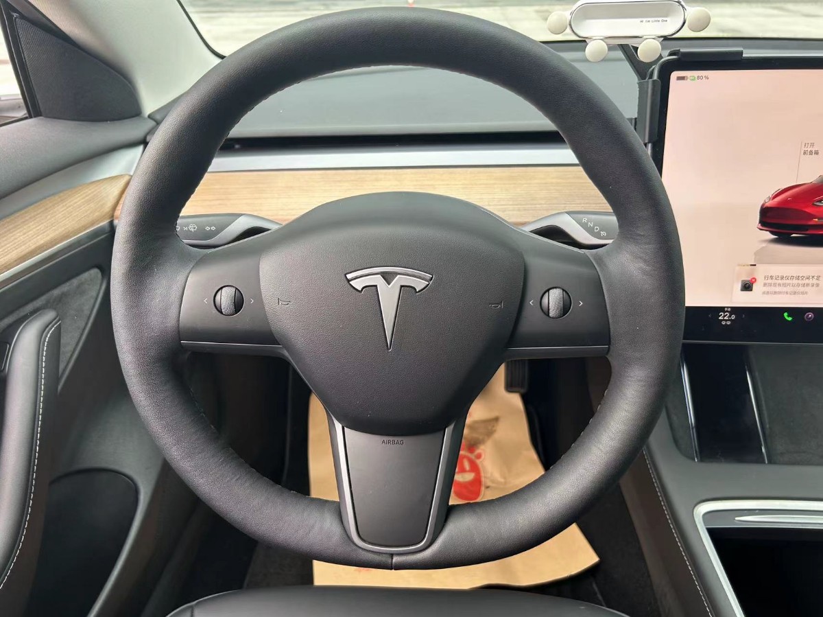Tesla Model 3 2022 #8 Tesla Model 3 2022 car image #8