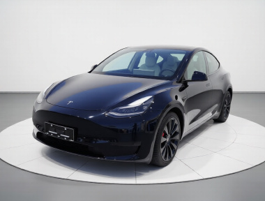 Tesla Model Y 2022 Tesla Model Y 2022 car image