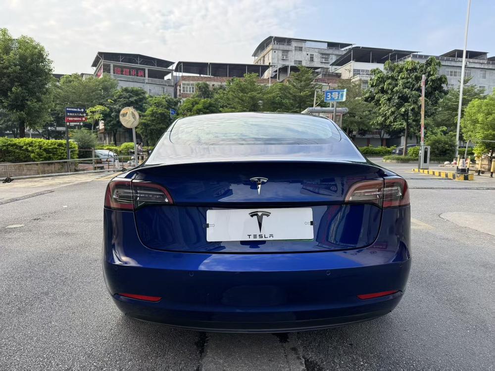 Tesla Model 3 2020 car image #6