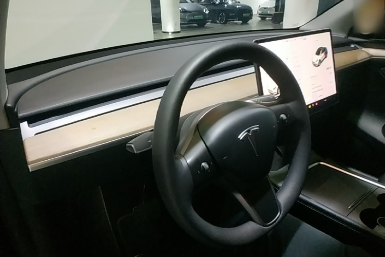 Tesla Model Y 2021 #10 Tesla Model Y 2021 car image #10