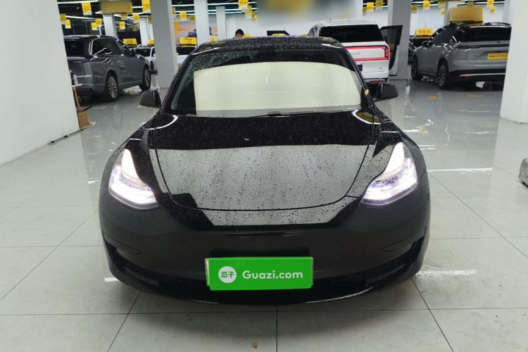 Tesla Model 3 2020 #3 Tesla Model 3 2020 car image #3