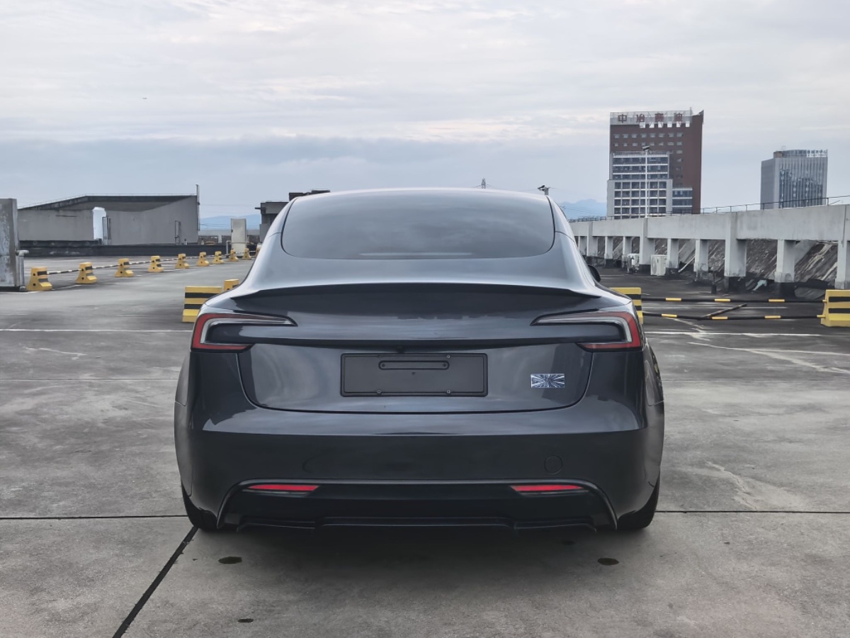 Tesla Model 3 2024 car image #5
