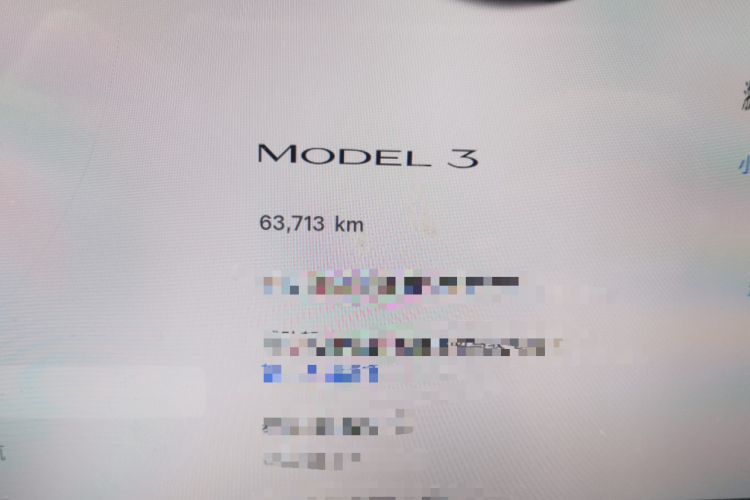 Tesla Model 3 2023 car image #10