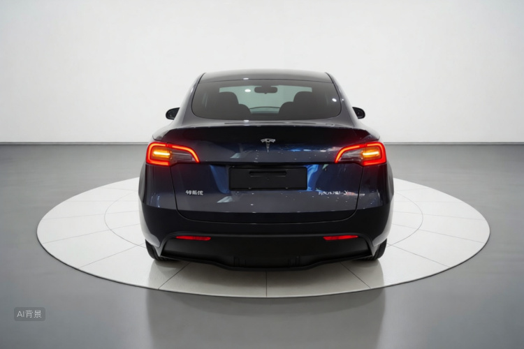 Tesla Model Y 2021 car image #6