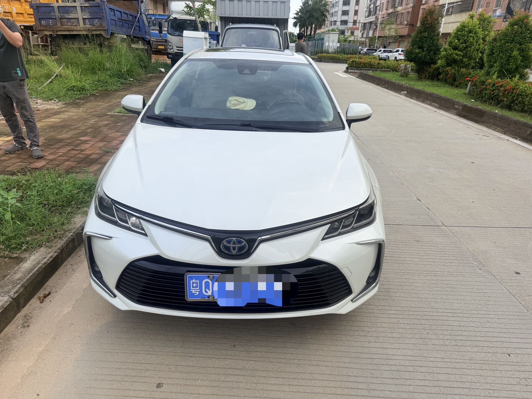 Toyota Corolla 2019 car image #2