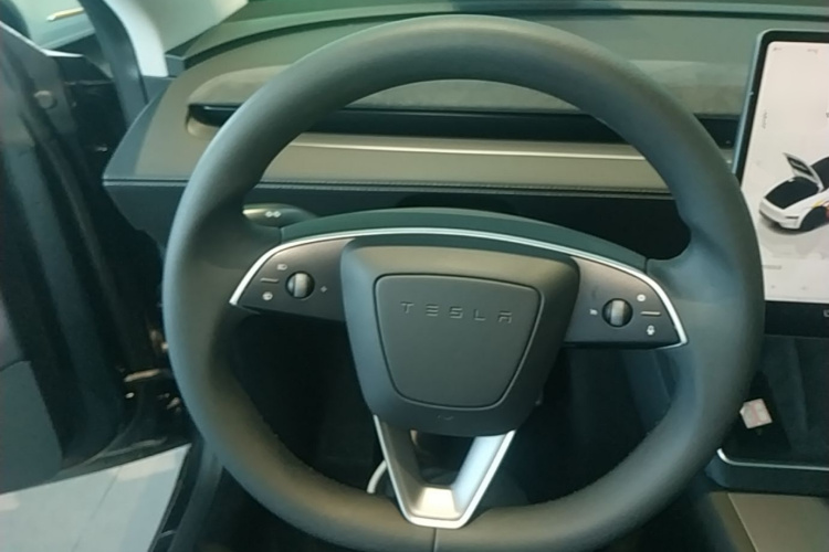 Tesla Model Y 2025 car image #11