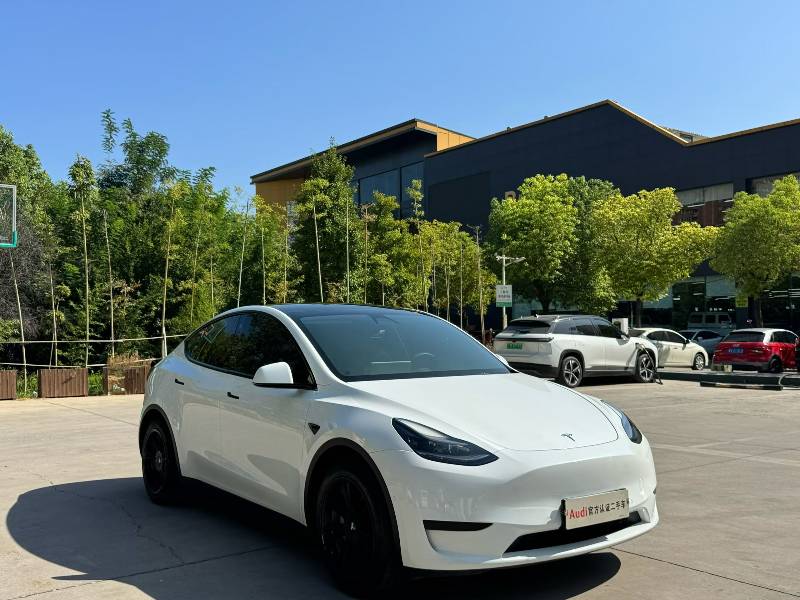 Tesla Model Y 2022 #3 Tesla Model Y 2022 car image #3