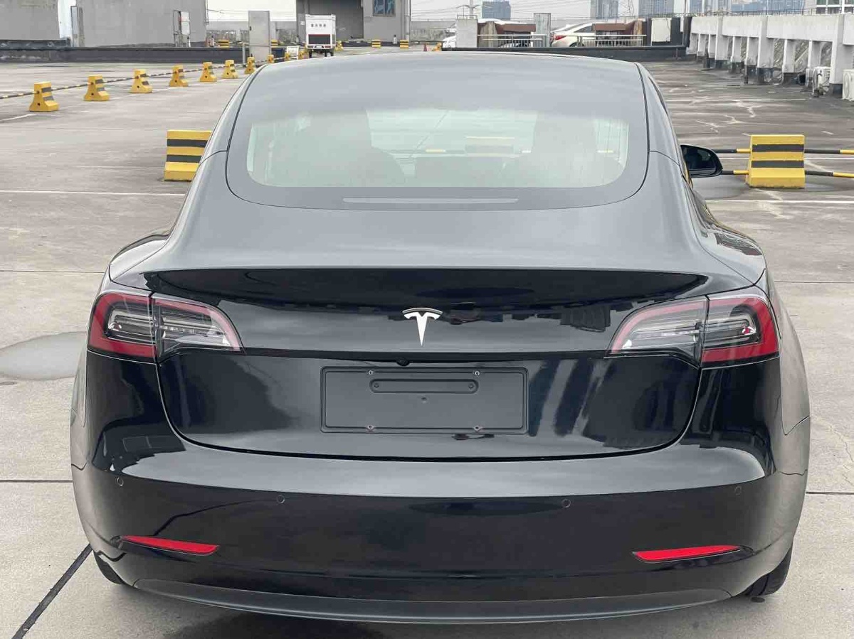 Tesla Model 3 2020 car image #3
