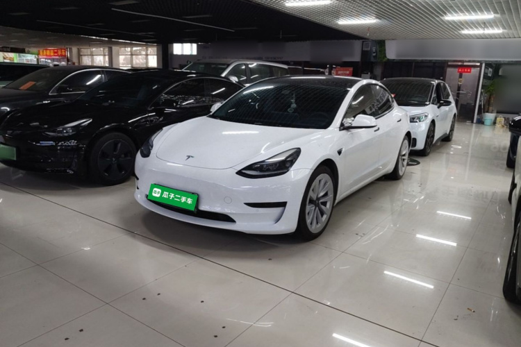 Tesla Model 3 2023 #2 Tesla Model 3 2023 car image #2