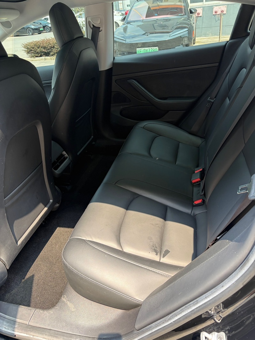 Tesla Model 3 2020 car image #8
