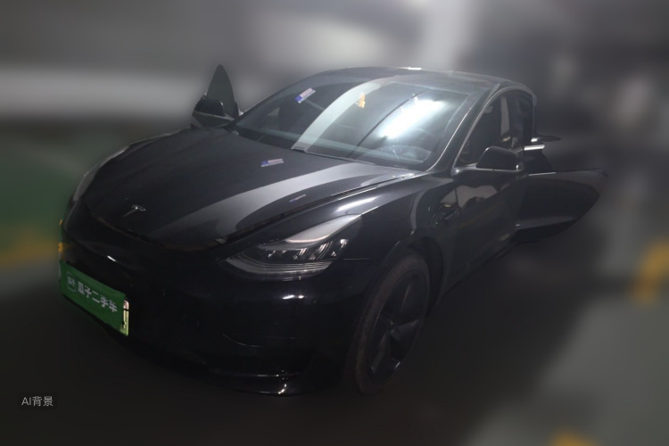 Tesla Model 3 2020 car image #2