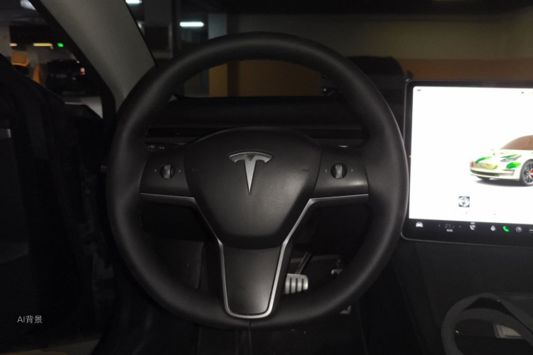 Tesla Model 3 2022 car image #12