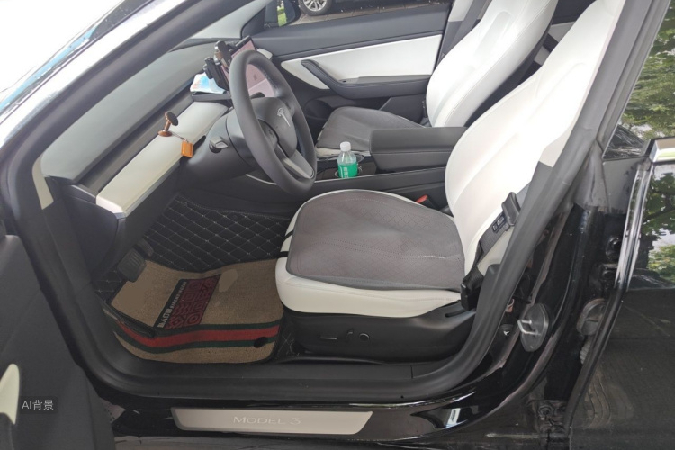 Tesla Model 3 2020 #17 Tesla Model 3 2020 car image #17