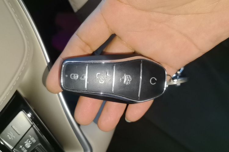 BYD Han 2024 car image #9