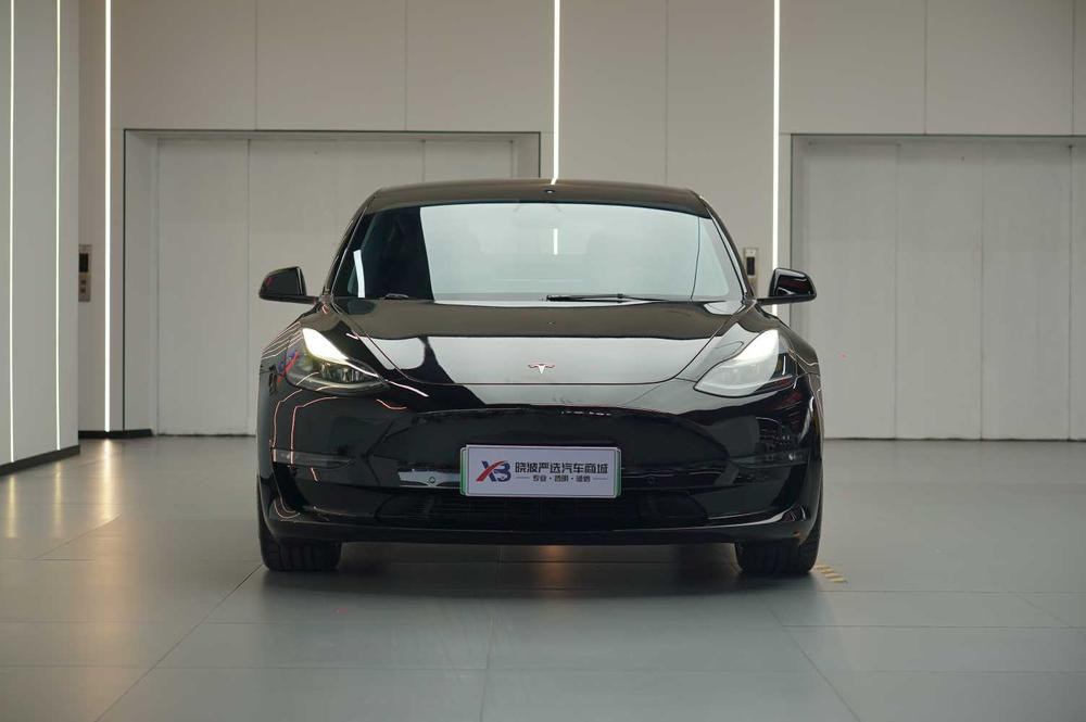 Tesla Model 3 2022 #2 Tesla Model 3 2022 car image #2
