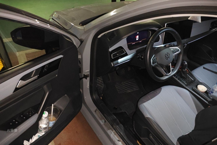Volkswagen Lavida 2024 car image #18