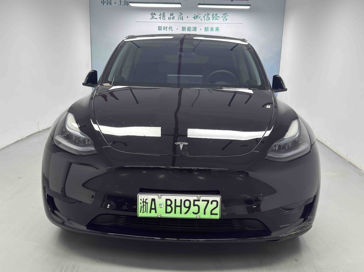 Tesla Model Y 1969 car image #2