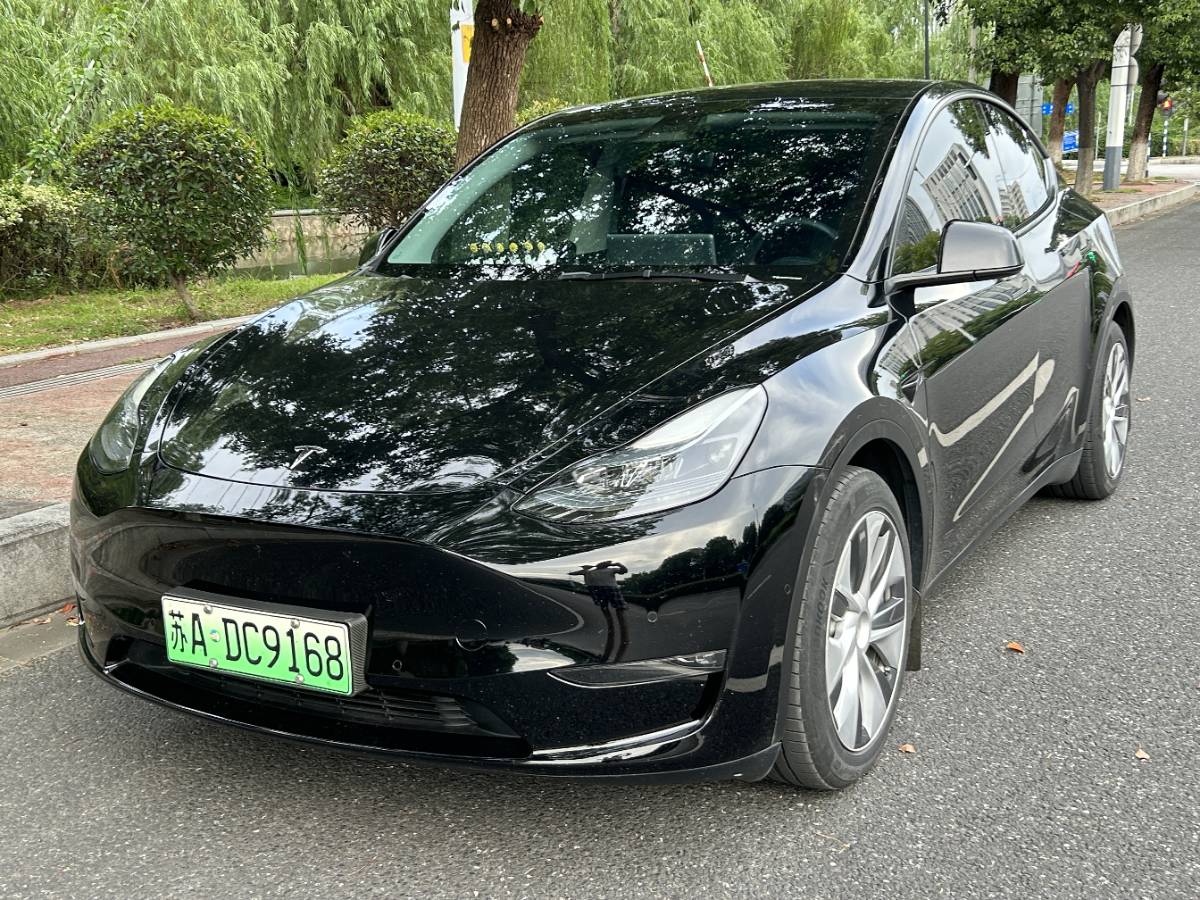 Tesla Model Y 2022 Tesla Model Y 2022 car image