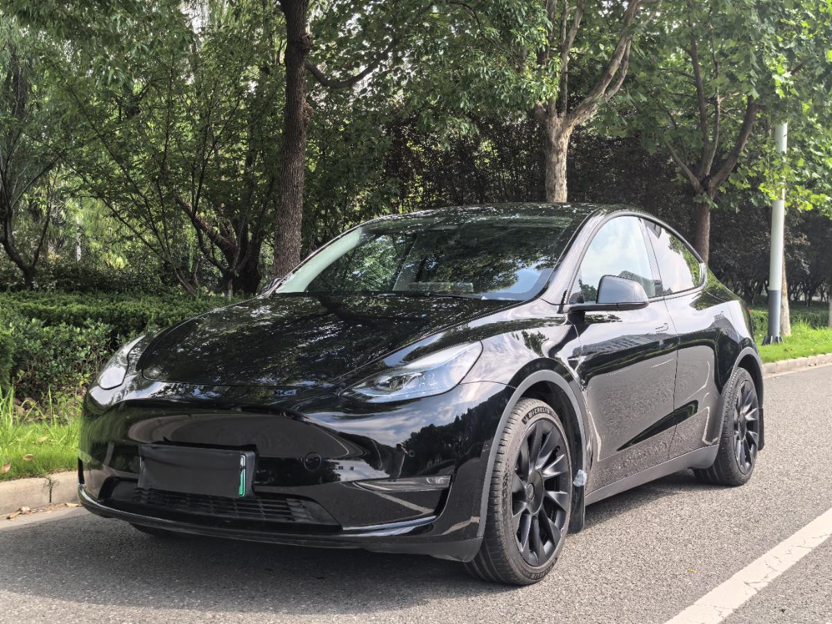 Tesla Model Y 2021 Tesla Model Y 2021 car image