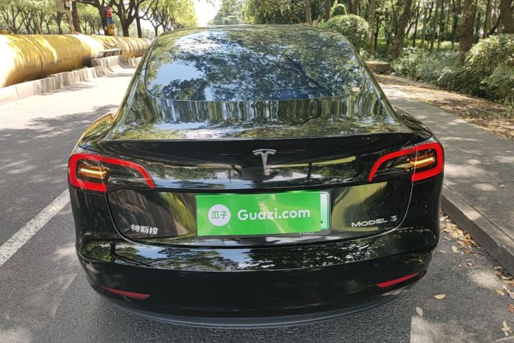 Tesla Model 3 2023 #6 Tesla Model 3 2023 car image #6