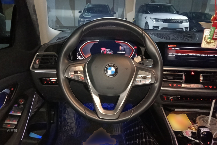 BMW 3 Series 2019 car image #12