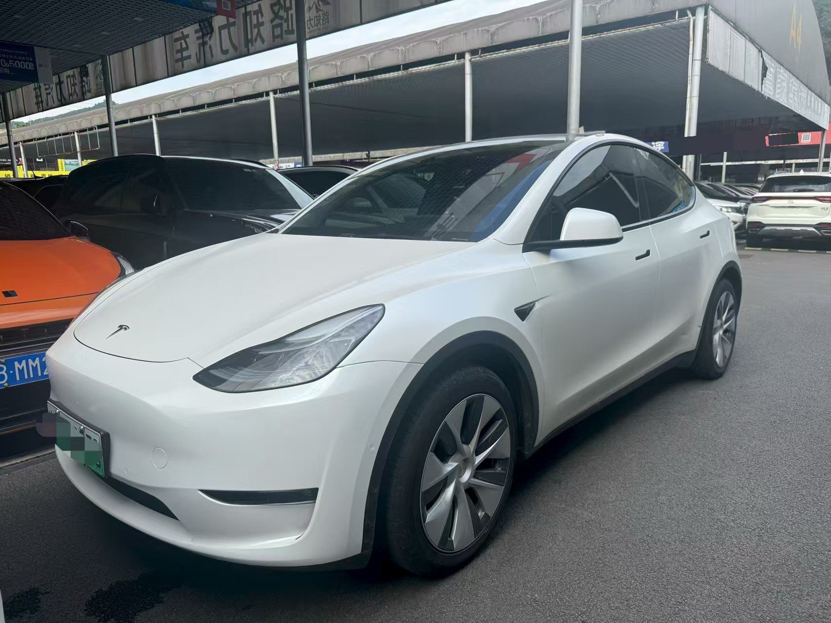 Tesla Model Y 2023 car image 