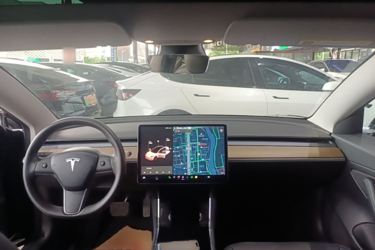 Tesla Model 3 2020 car image #10
