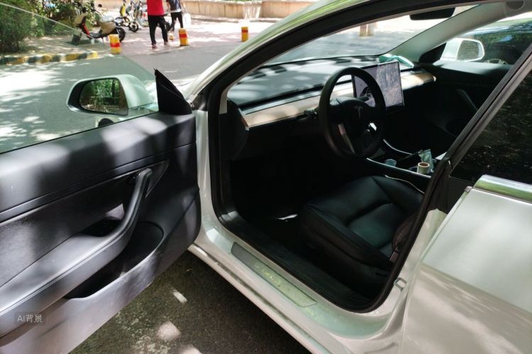 Tesla Model 3 2020 immagine di auto #18