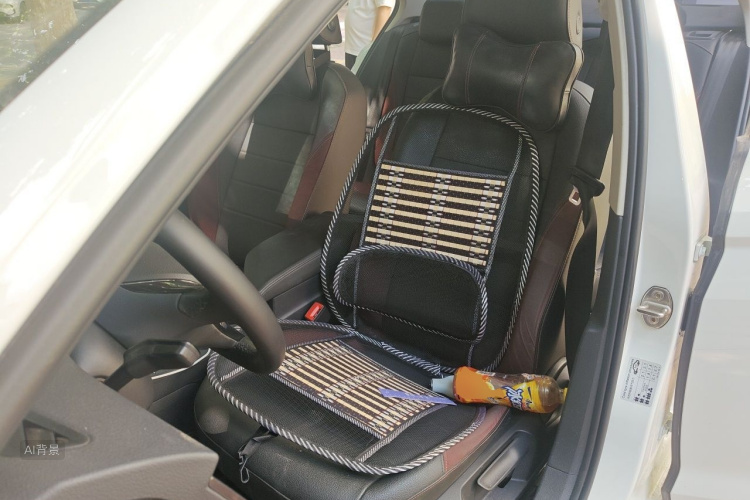 Volkswagen Bora 2020 car image #17