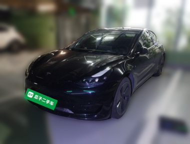 Tesla Model 3 2022 imagem de carro 